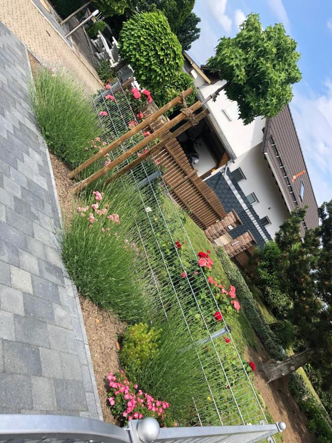 Ferienhaus Gluecksmoment 블랑켄부르크 외부 사진